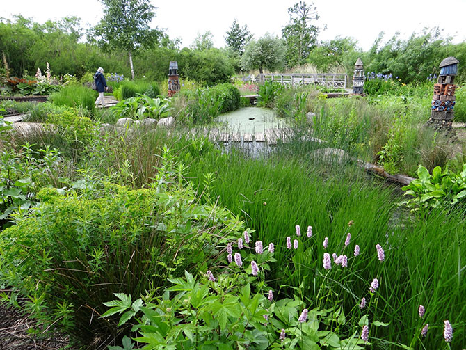 Plantes aquatiques et de berges mises en scène au jardin aquatique - © G. Carcassès